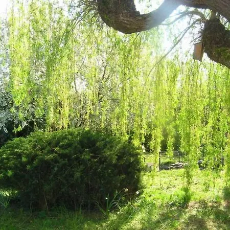 Mélodie Lumineuse Et Spacieuse à 6km Du Pal 3*