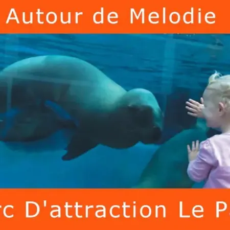 Mélodie Lumineuse Et Spacieuse à 6km Du Pal Affittacamere